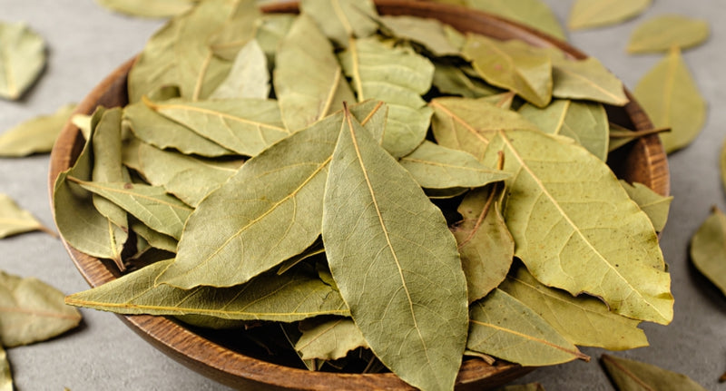 BAY LEAF