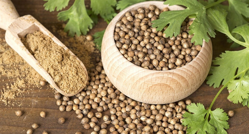 CORIANDER SEEDS
