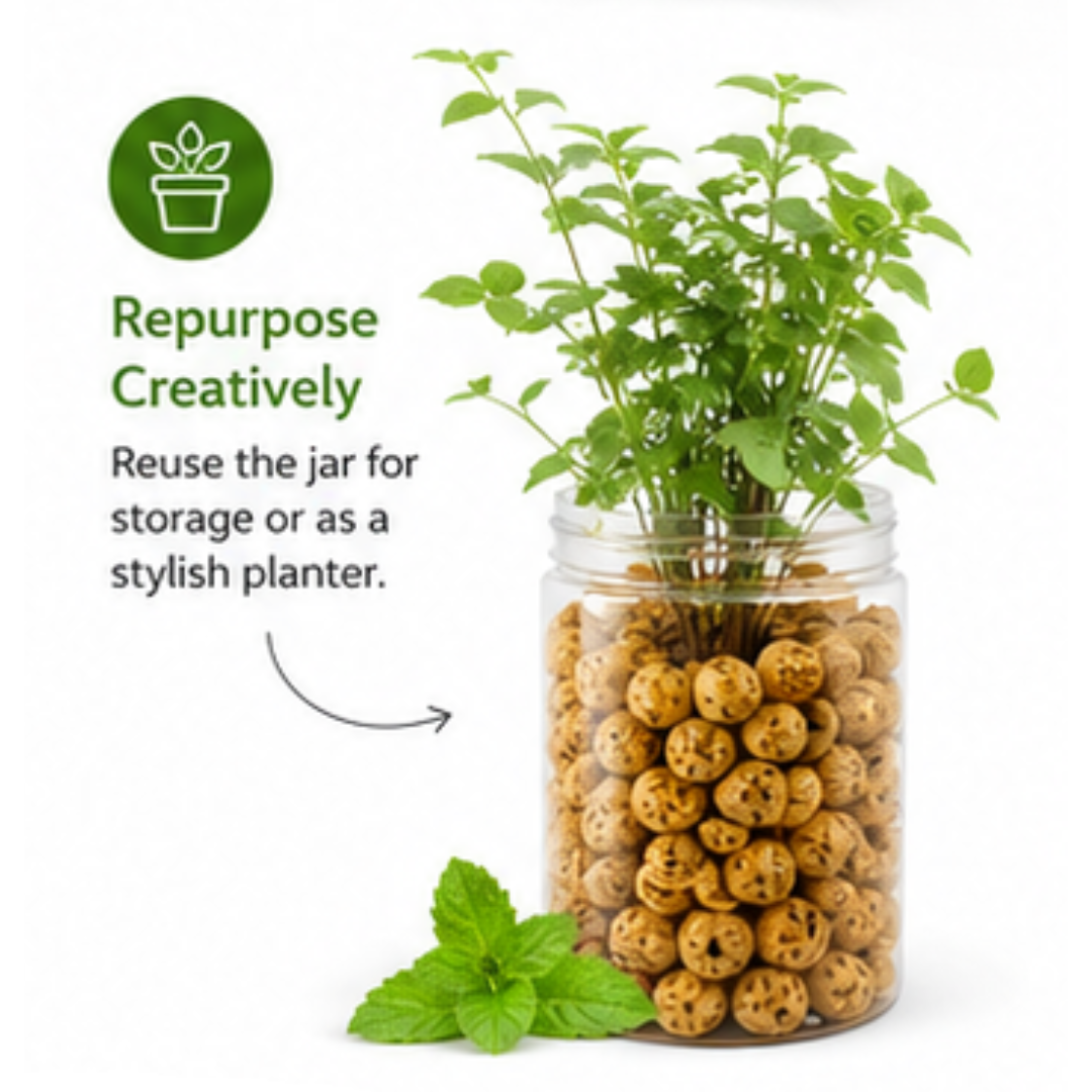 Mint Makhana Pack of 3 - Prosperra Grains & Nuts