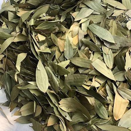 Bay Leaf