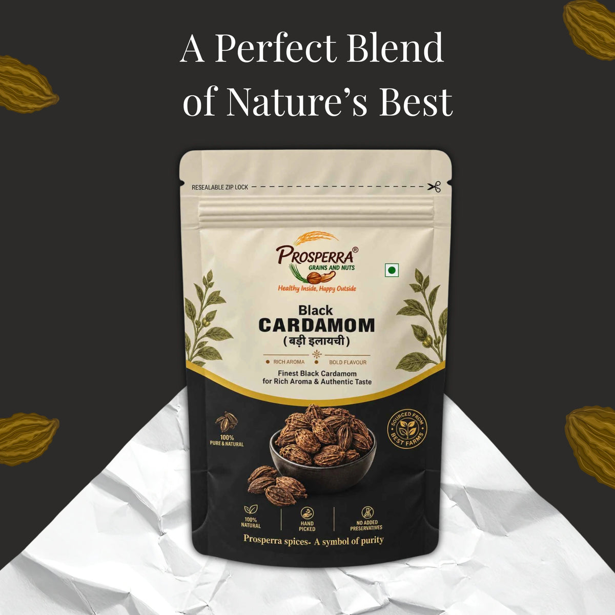 Premium Black Cardamom (Badi Elaichi) – Aromatic Indian Spice