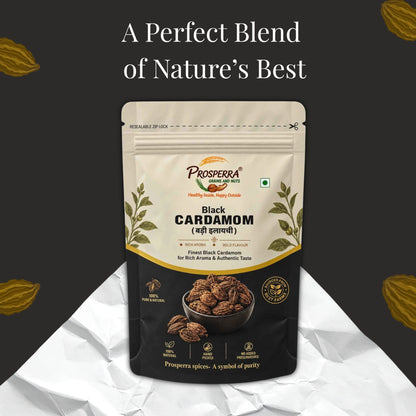 Premium Black Cardamom (Badi Elaichi) – Aromatic Indian Spice