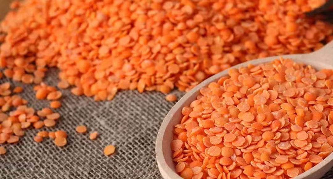 RED LENTIL
