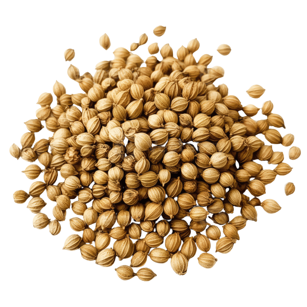 Eagle Variety coriander seeds