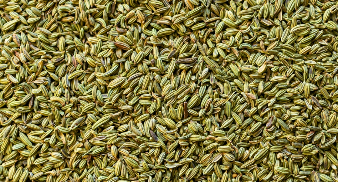 FENNEL SEEDS