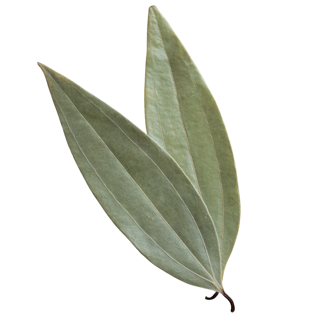 Indian Bay Leaf