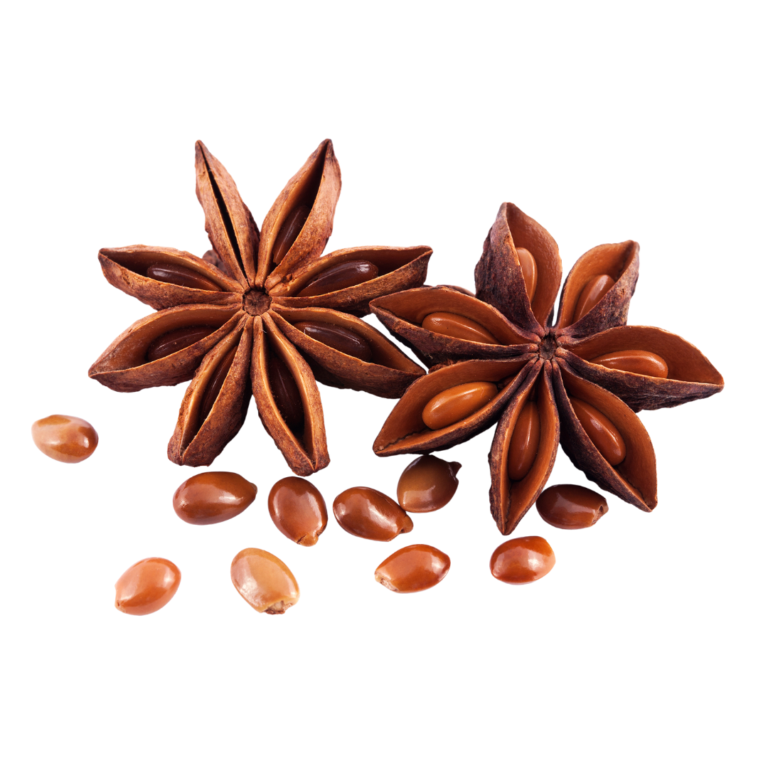 Indian Star Anise