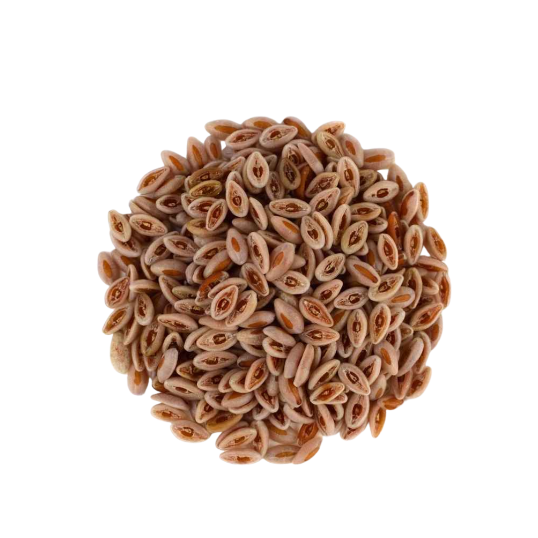 Psyllium Seeds