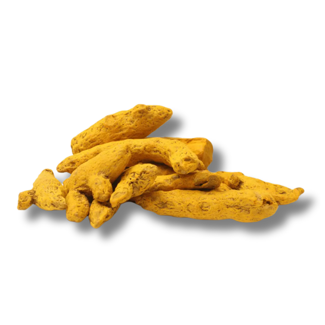 Rajapuri Turmeric