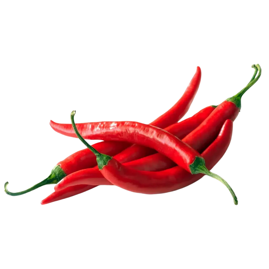 Premium red chilli