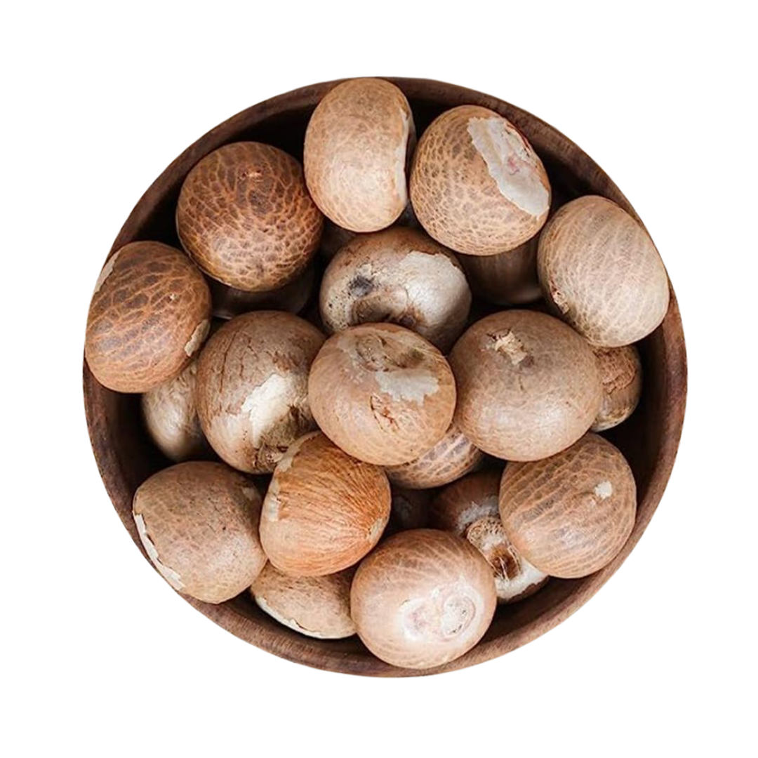 Premium Betel Nuts